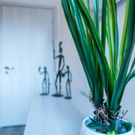 Chiaia Premium Flat, Center, Near Seaside Apartment